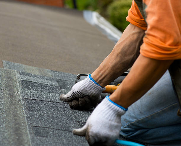 Roof Gutter Cleaning in New Boston, OH