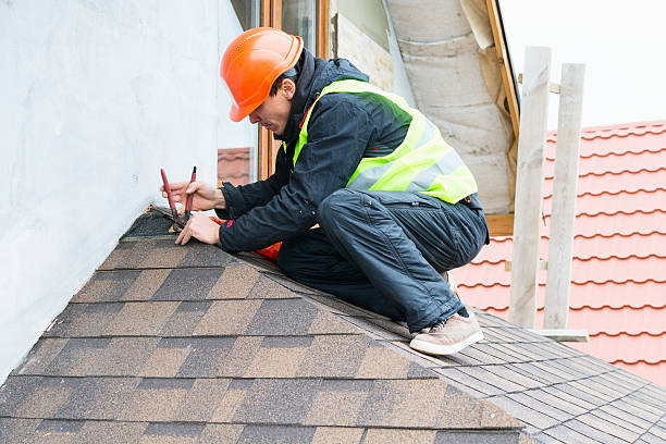 Best Roof Gutter Cleaning  in New Boston, OH