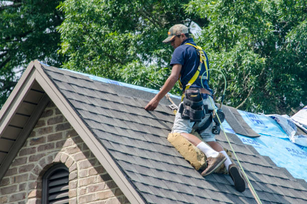 Best Shingle Roofing Installation  in New Boston, OH